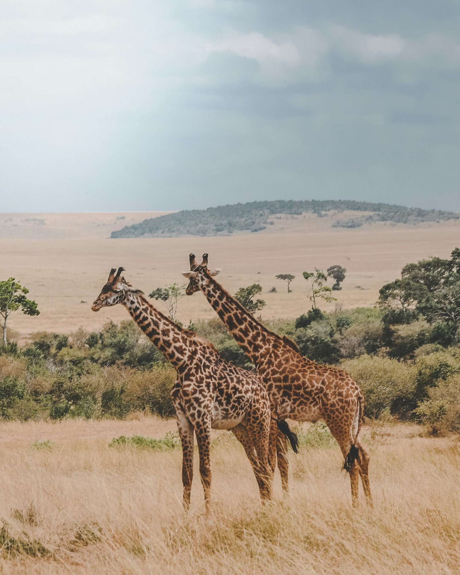 Extended safari itineraries